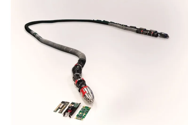 Inovação se inspira no biomimetismo, ou seja, a imitação da vida (foto: divulgação)