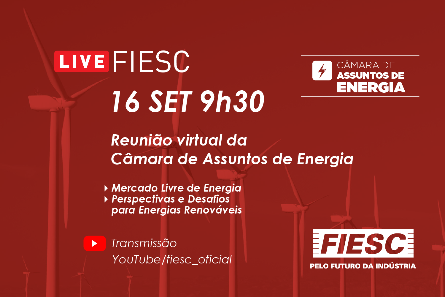 Reunião Virtual da Câmara de Assuntos de Energia