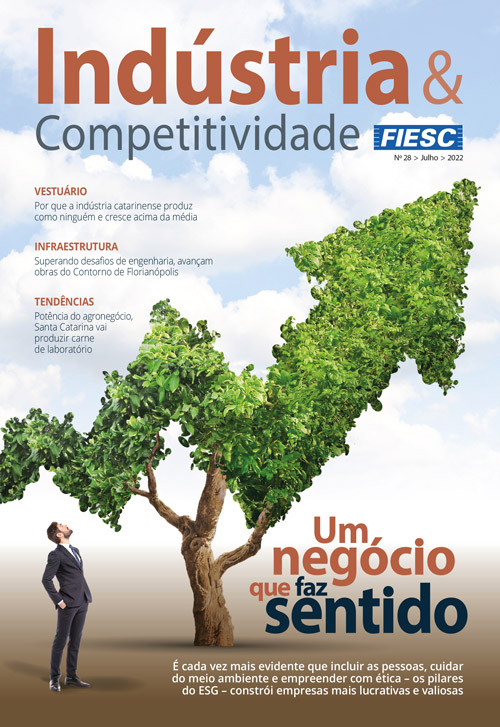 Revista Indústria e Competitividade 28
