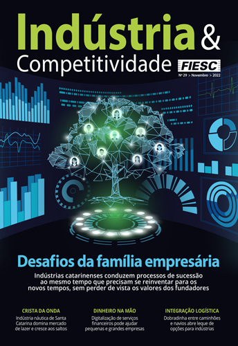 Revista Indústria e Competitividade 29