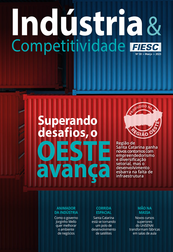 Revista Indústria e Competitividade 30