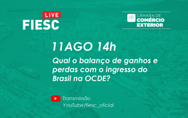 Efeitos positivos e negativos do ingresso do Brasil na OCDE são tema de live nesta terça (11)