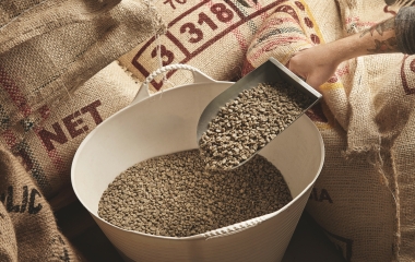 Câmara de Alimentos debate impacto das tarifas de 50% dos EUA e Reforma Tributária