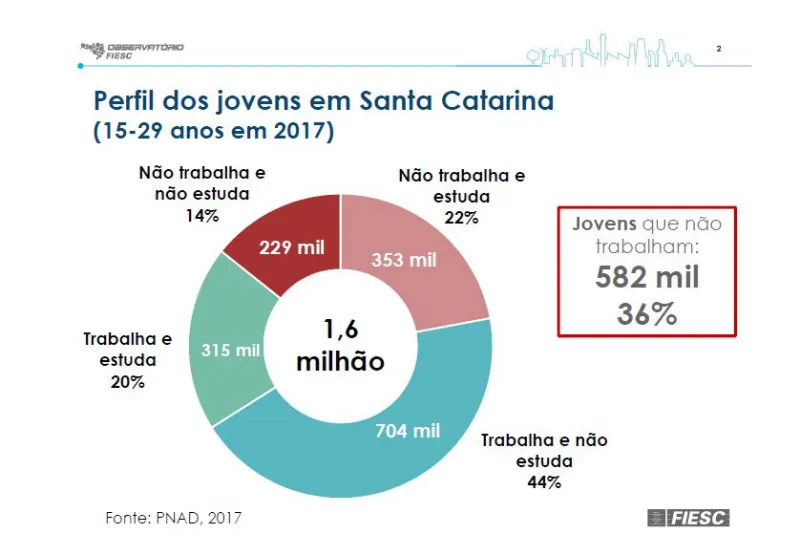Perfil dos jovens de 15 a 29 anos em SC