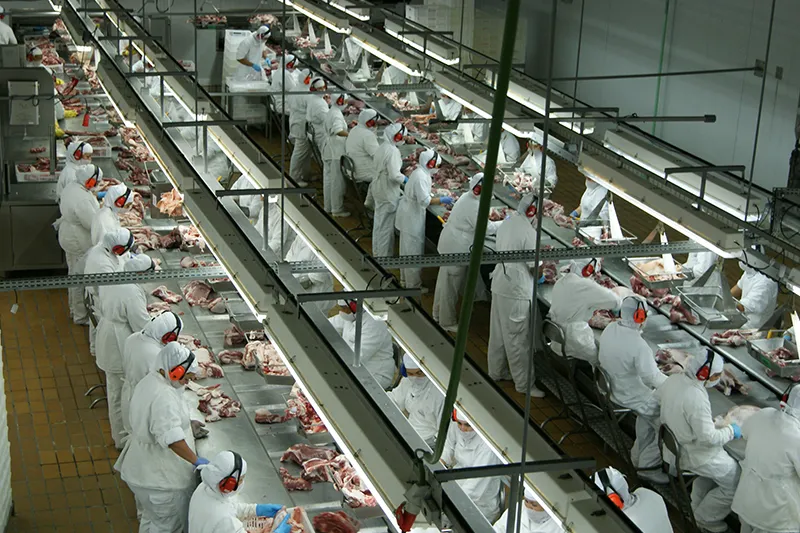 Empresas como a Aurora aumentaram capacidade produtiva