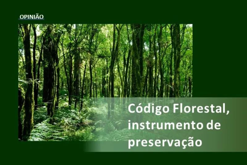 Artigo destaca modelo vitorioso e cooperativo de integração entre pequenos produtores e agroindústria