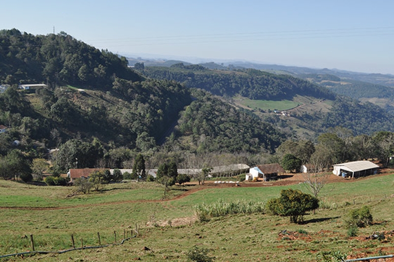 Projeto de lei defende aplicação do Código Florestal à Mata Atlântica