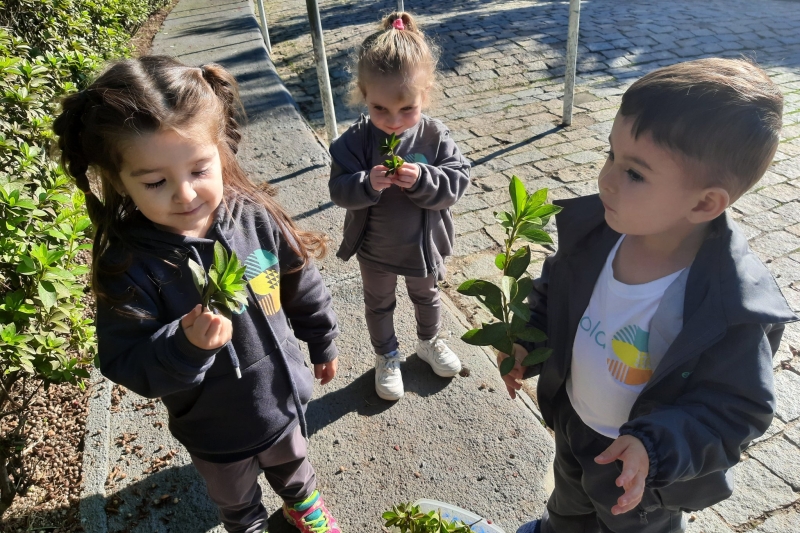 Ações de educação ambiental também ocorrem na Escola S de Brusque. Foto: Divulgação/Escola S