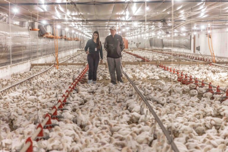 Deputados estaduais avaliam projeto para impulsionar cooperativas e agroindústrias