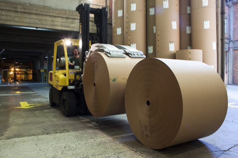Celulose e papel foi um dos segmentos que aumentou o faturamento no acumulado do ano (Foto: Plínio Bordin)